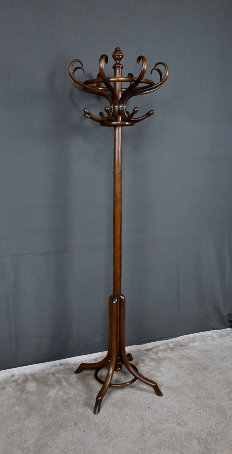 photo vinterior Parrot Coat Rack In Beechwood – Early 20th Century
