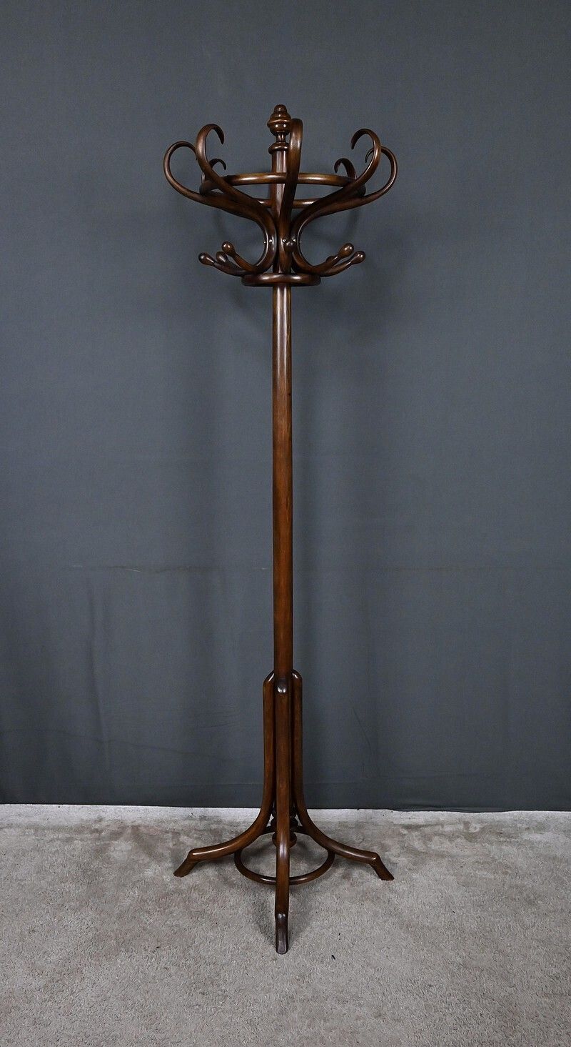 photo buy Parrot Coat Rack In Beechwood – Early 20th Century