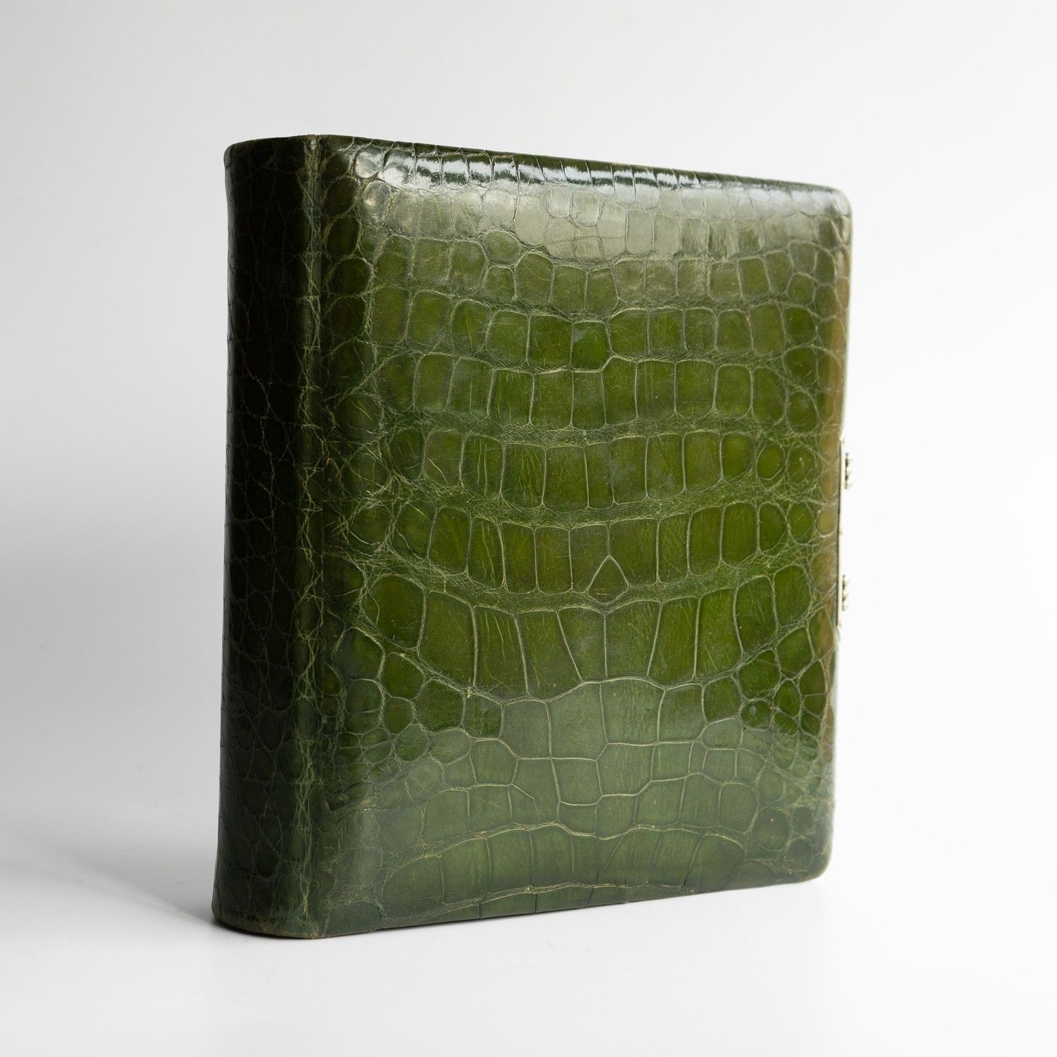 Antique Victorian Green Crocodile Skin Leather Photograph Album And Contents photo furniture