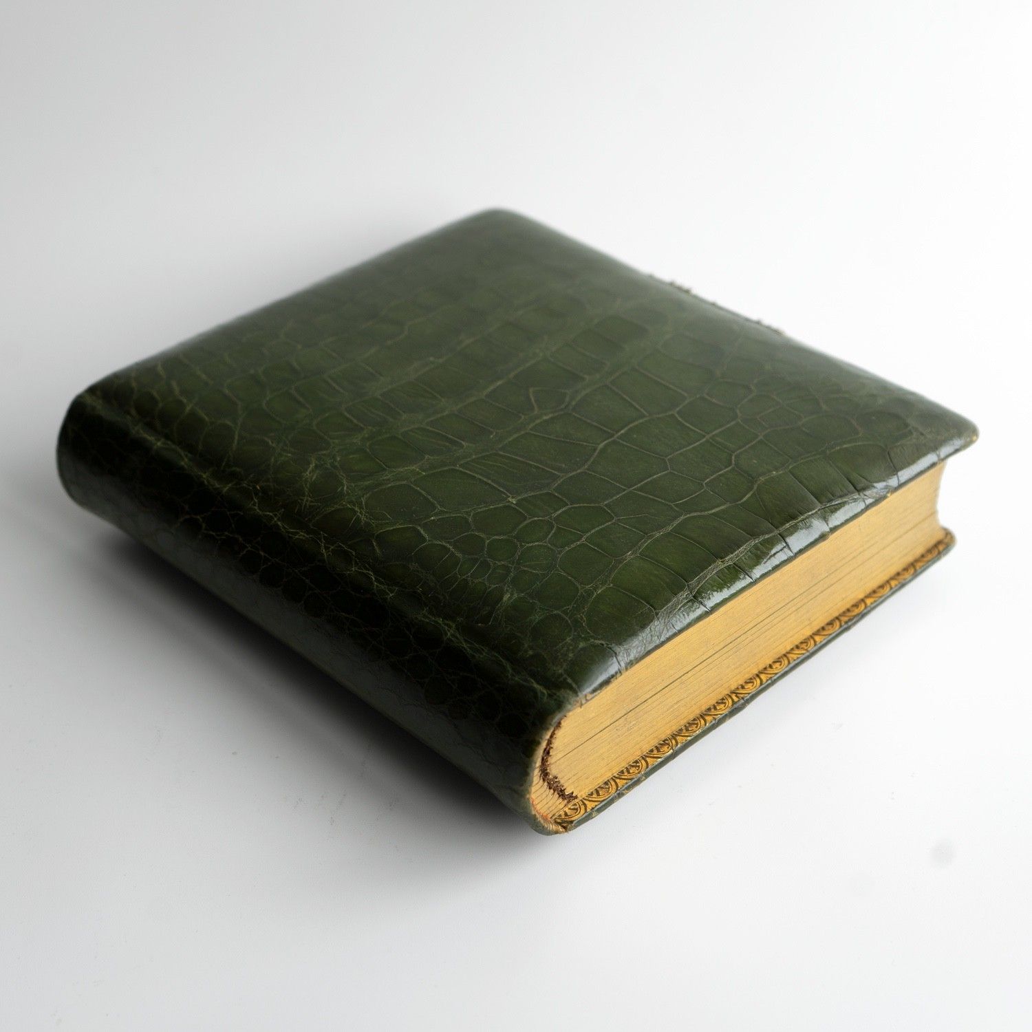Home Decor Antique Victorian Green Crocodile Skin Leather Photograph Album And Contents photo