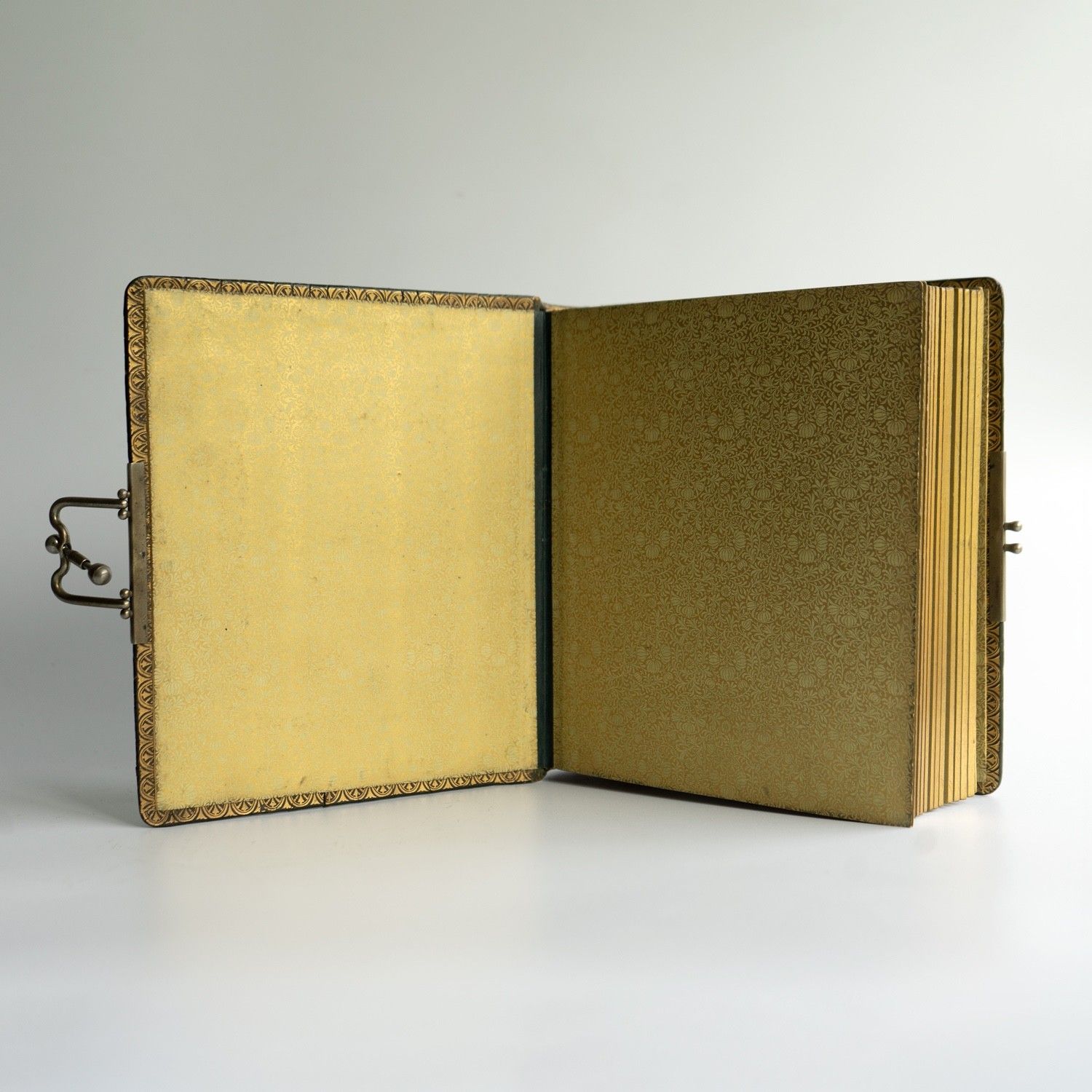 photo buy Antique Victorian Green Crocodile Skin Leather Photograph Album And Contents