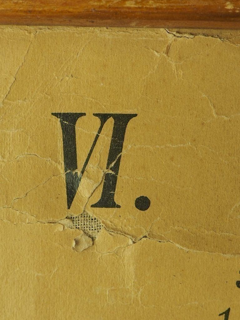 150.0 Antique Anatomical Chart (VI.) Human Anatomy Head Signed By E. Hoelemann photo