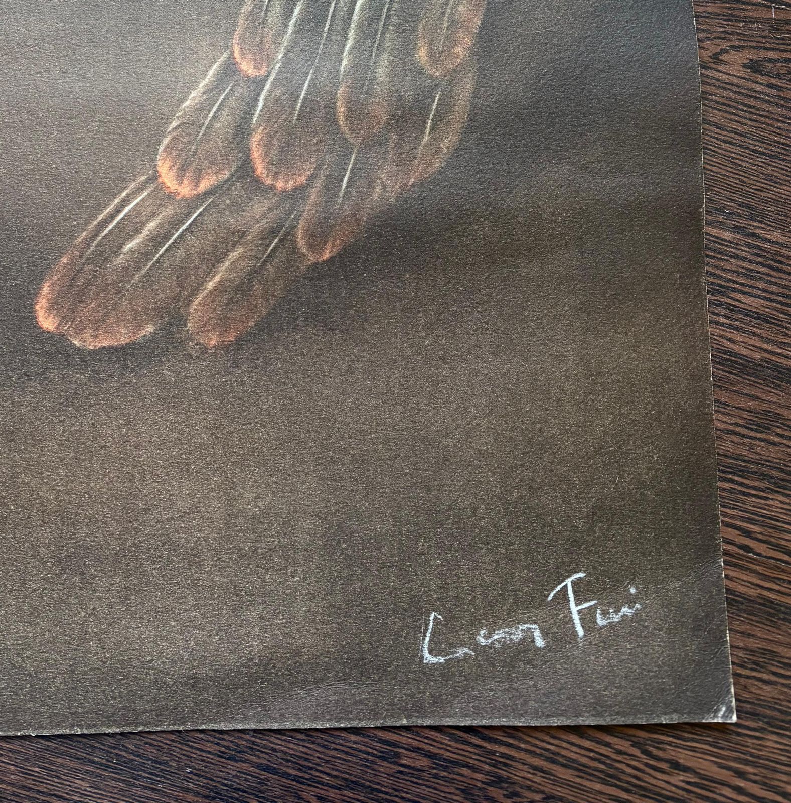 photo furniture Leonor Finileonor Fini, Extrême Nuit, Rare Lithograph On Wove Paper, 19801980