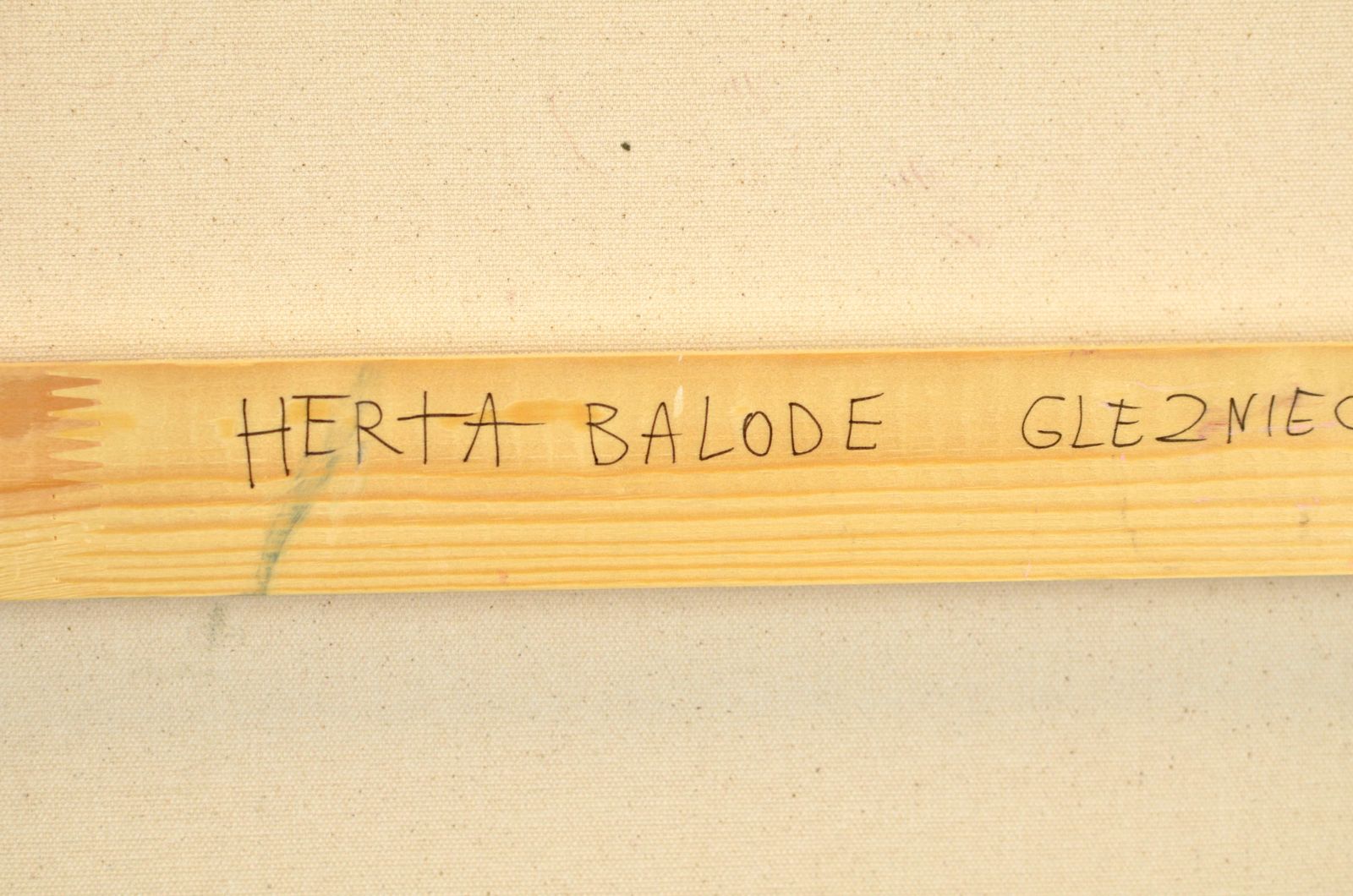 Herta Balodezoo Of Men, By Herta Balode. 2025. Oil On Canvas. 60x120 Cm. Unsigned2025 photo buy