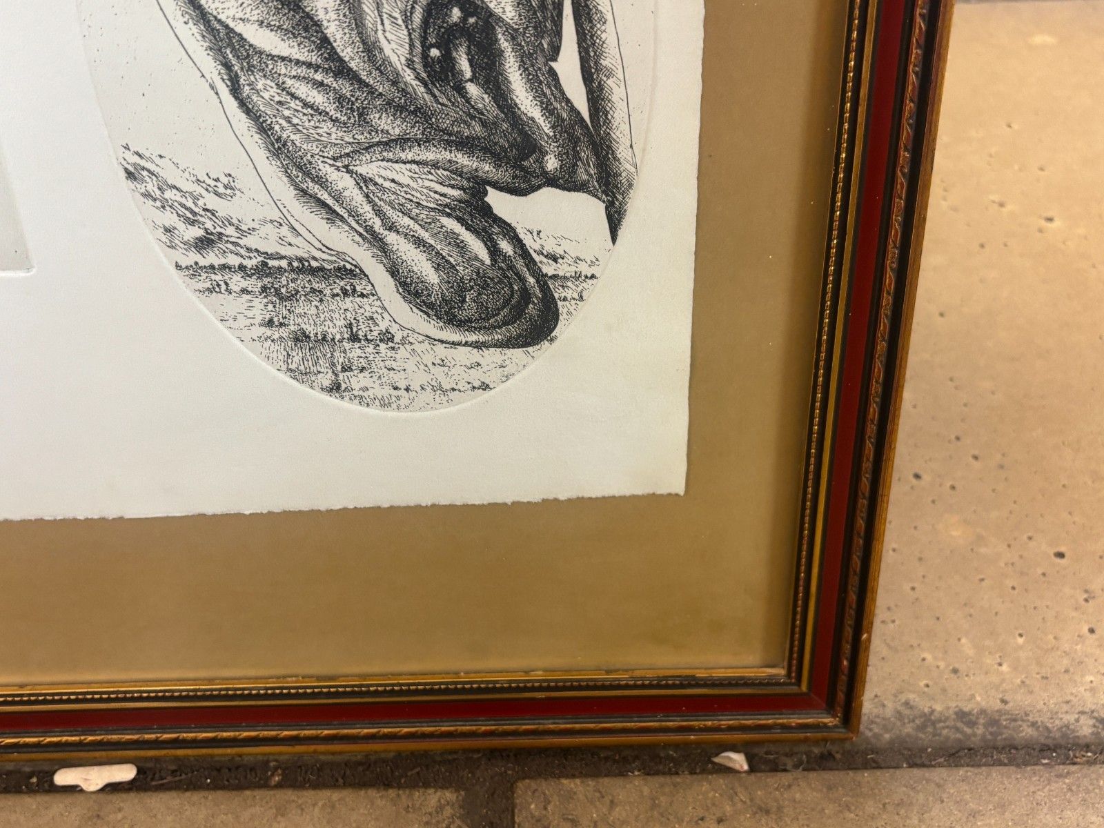 photo for sale Vintage Collection Of Etchings/ Giclee Prints By Günter Grass Framed