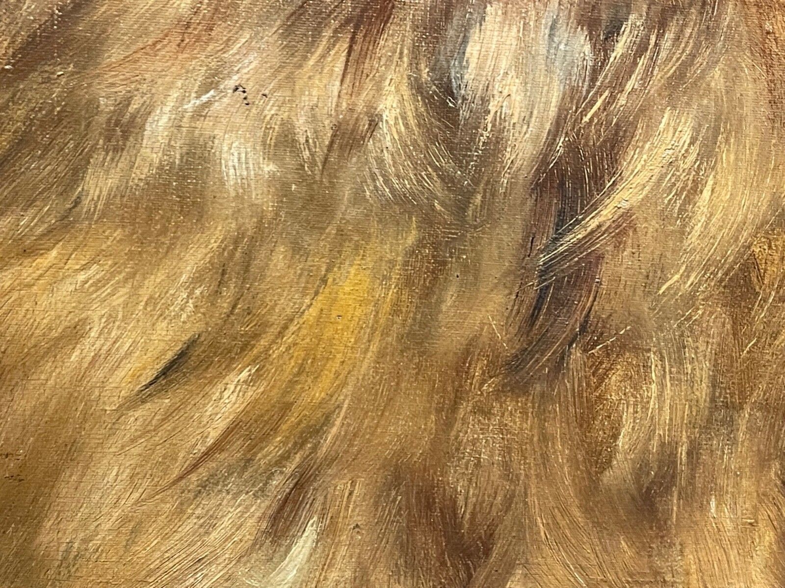 photo for sale Painting Général Symon & Ping Ching Two Chinese Chow Chow Dogs By Zilia Klias