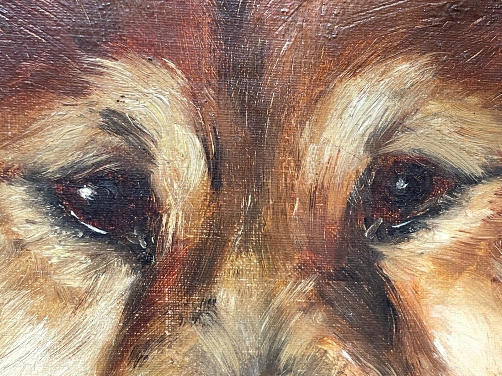 photo vinterior Painting Général Symon & Ping Ching Two Chinese Chow Chow Dogs By Zilia Klias