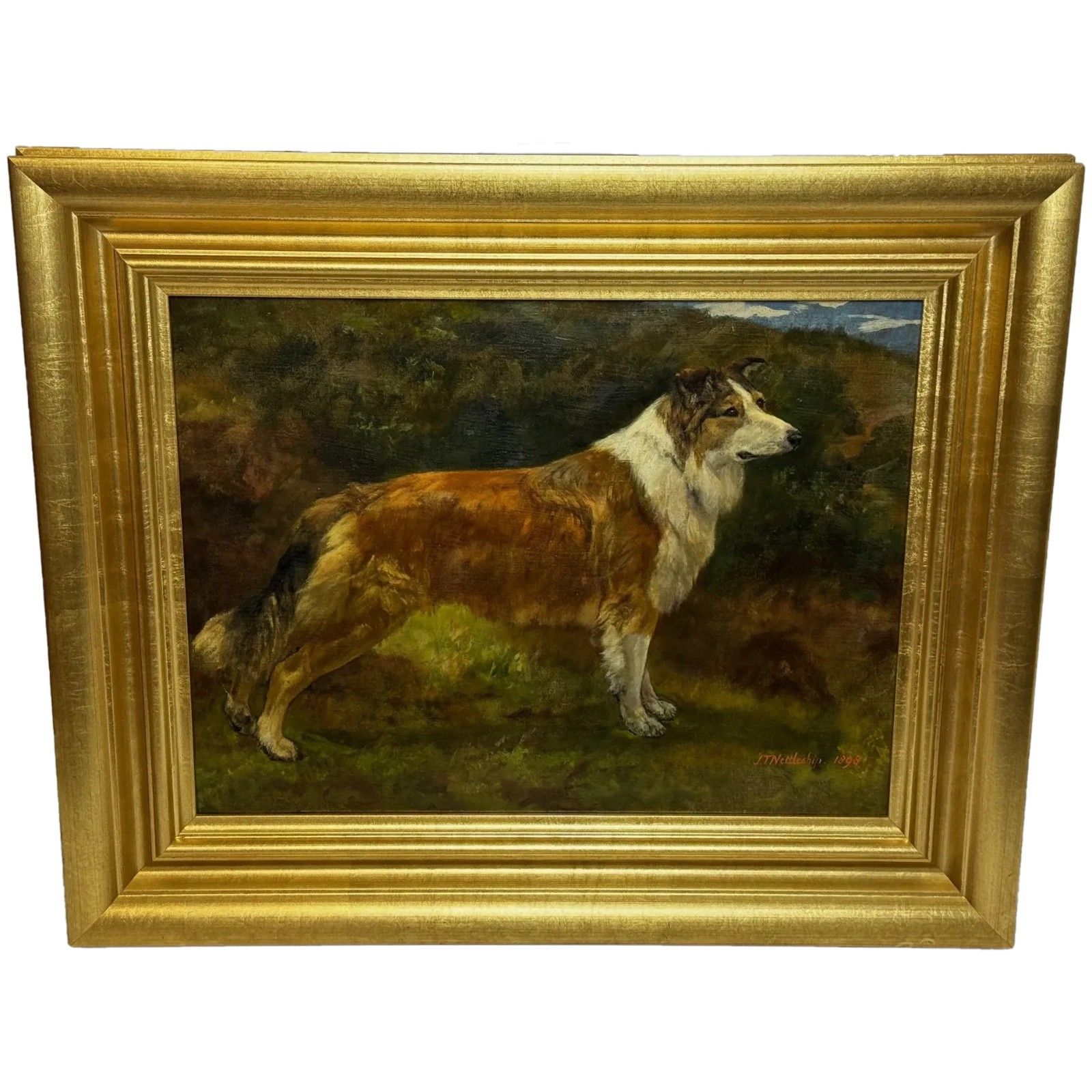 Large Victorian Oil Portrait Rough Collie Signed By John Trivett Nettleship