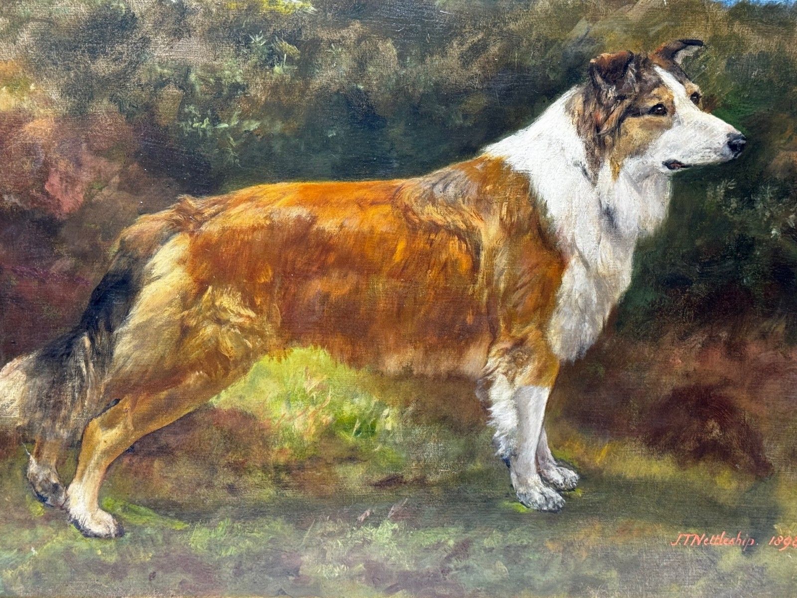 Large Victorian Oil Portrait Rough Collie Signed By John Trivett Nettleship photo furniture