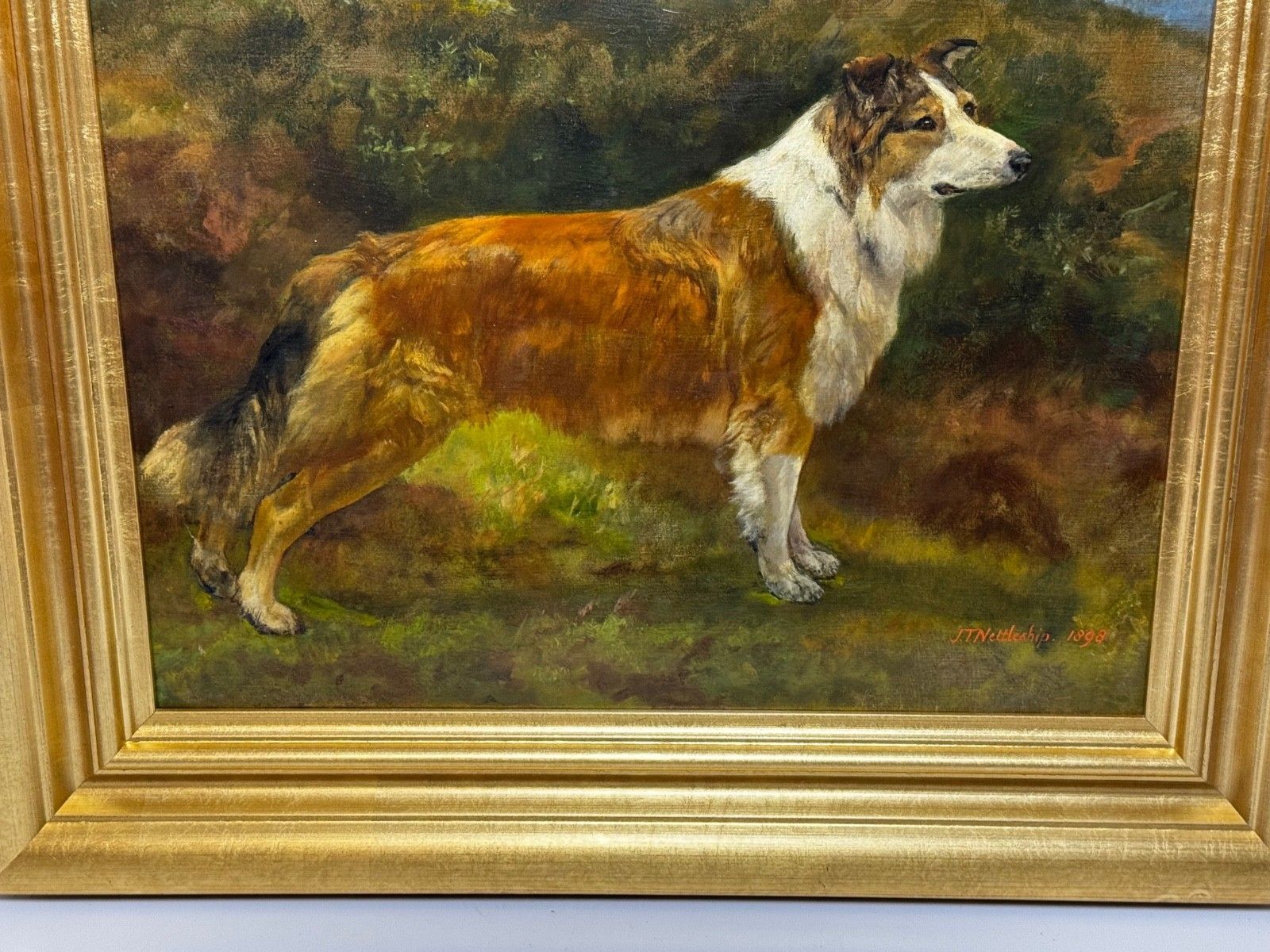 Large Victorian Oil Portrait Rough Collie Signed By John Trivett Nettleship photo vintage