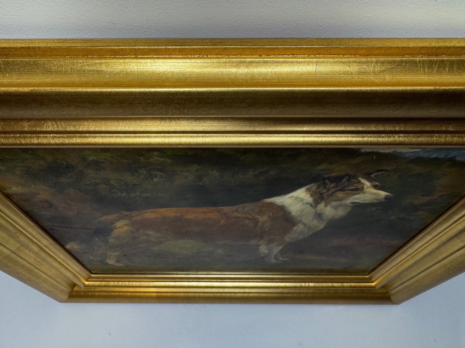 6800.0 Large Victorian Oil Portrait Rough Collie Signed By John Trivett Nettleship photo
