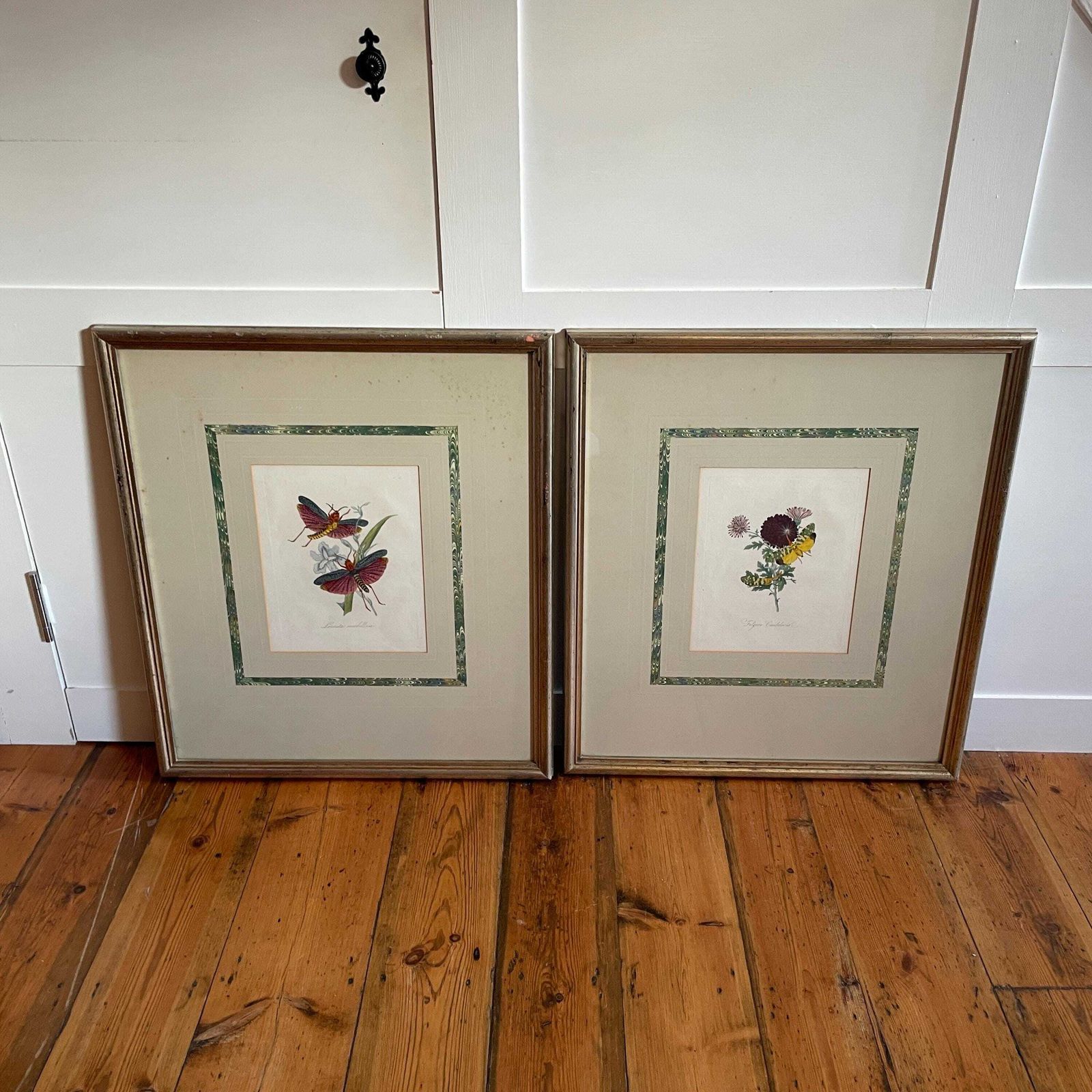 Framed Insect Wall Art Pair Hand Painted Botanical Moth Butterfly Pictures Large Wall Hanging Wooden Frame photo for sale
