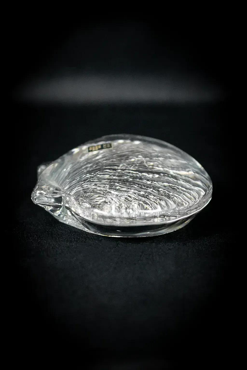Crystal Seashell Paperweight From Daum France – Louis Chevallier – 20th Century photo Home Decor