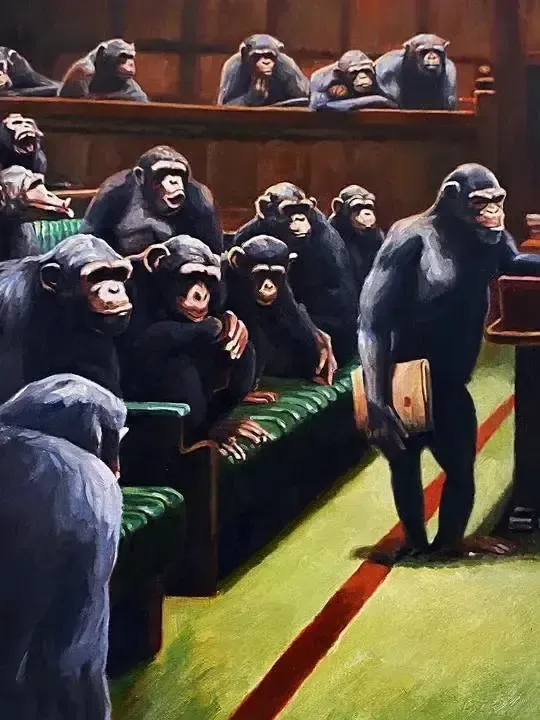 Mason Storm, Monkey Parliament, 2020 Framed photo furniture