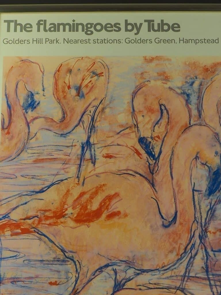 Art Framed Original Vintage London Underground Poster Flamingoes By Tube Golders Hill Park photo