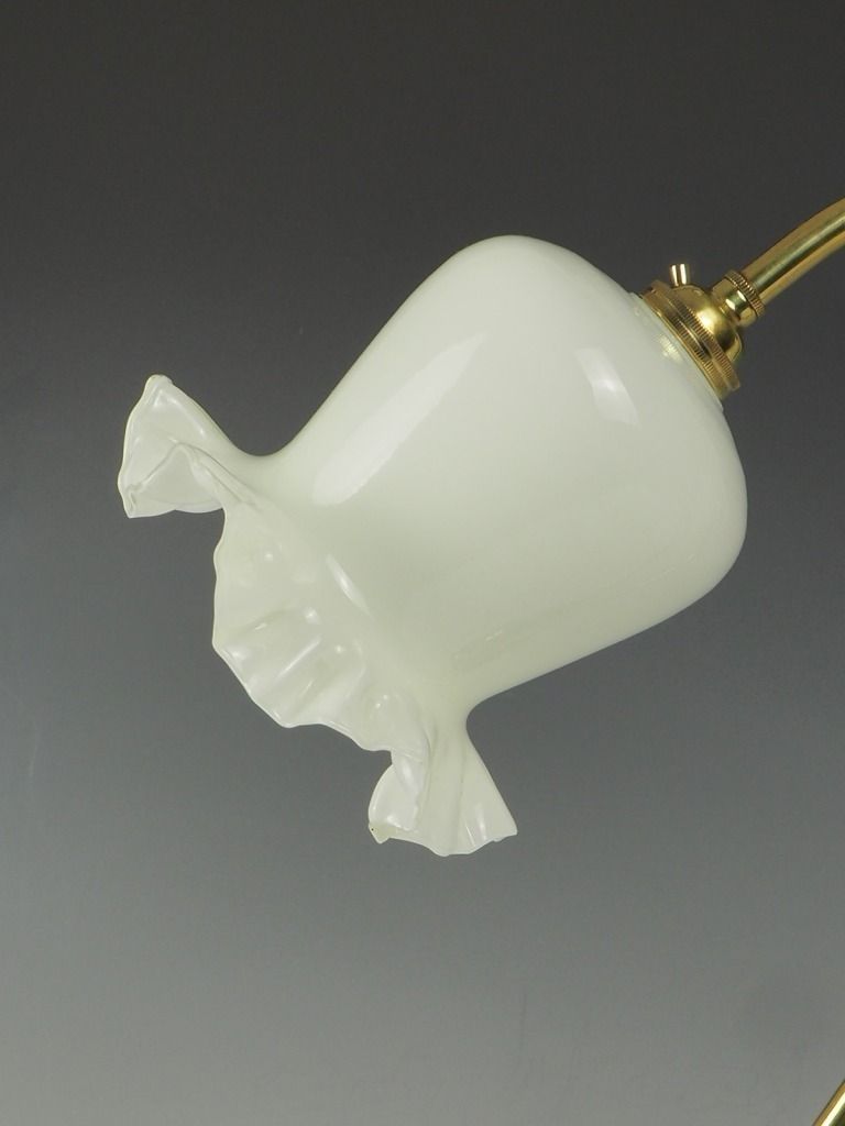 Elegant Art Nouveau Swan Neck Table Lamp With Shade photo Lighting