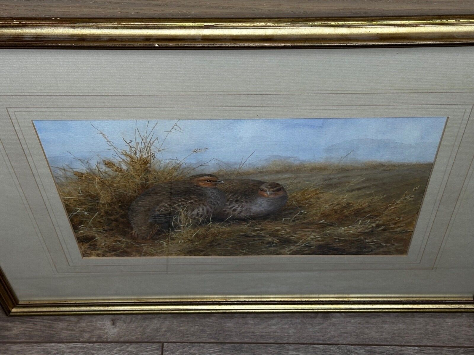 photo for sale Grey Partridges Watercolour – British Wildlife Painting, Gilt Framed, In The Manner Of Archibald Thorburn