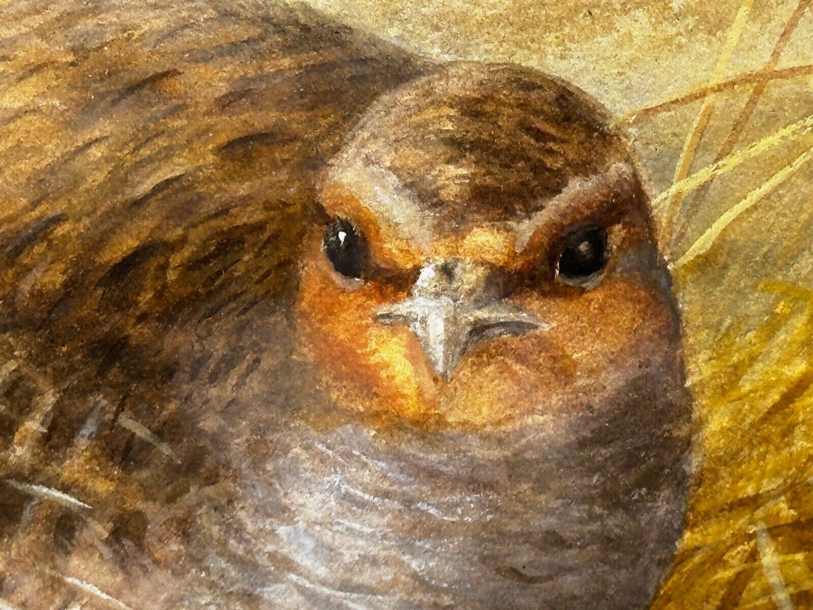 photo buy Grey Partridges Watercolour – British Wildlife Painting, Gilt Framed, In The Manner Of Archibald Thorburn