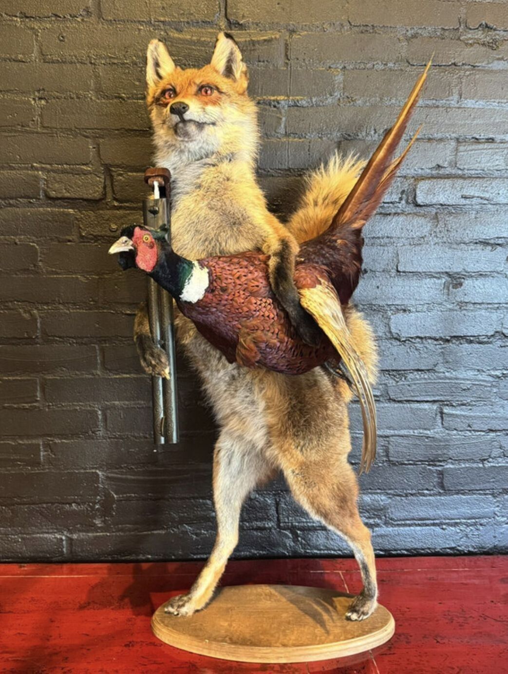 Vintage Mr Fox With Rifle & Pheasant 0294. photo for sale