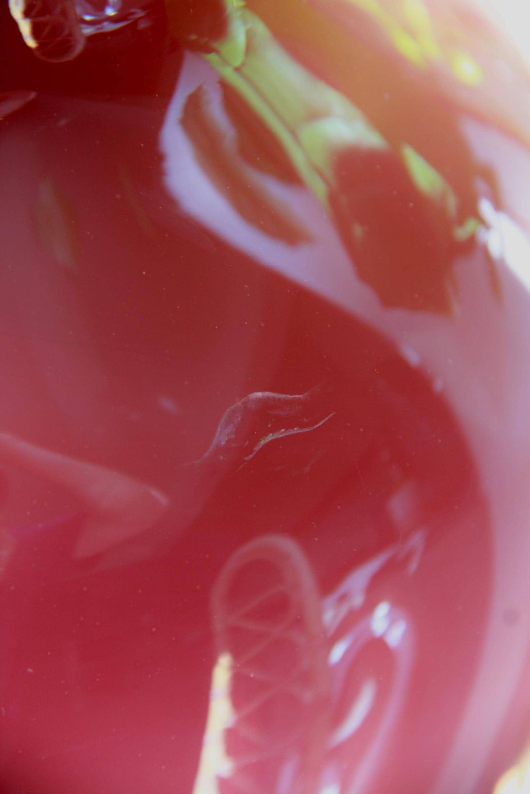 Corniola Murano Vase, Ercole Barovier For Barovier And Toso, 1960s Italian Art Glass photo buy