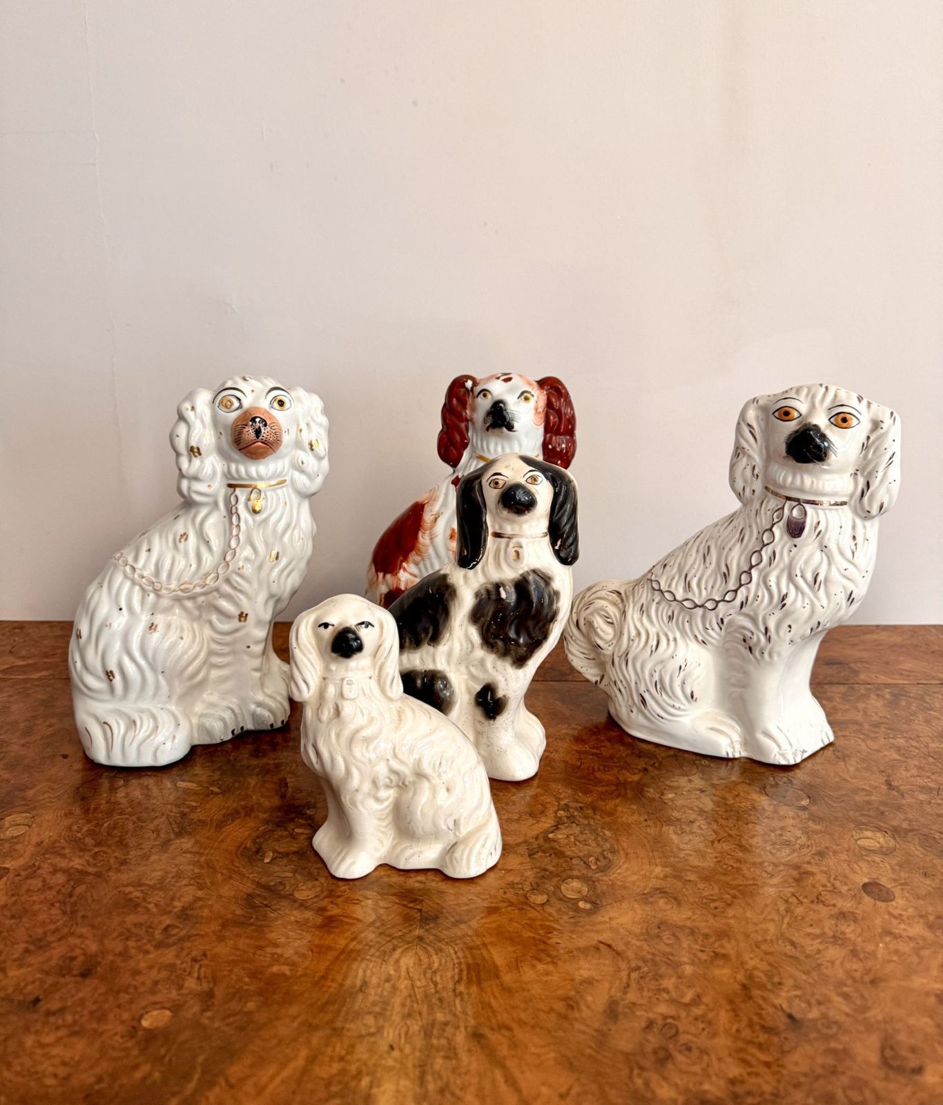 Quality Collection Of Five Antique Quality Hand Painted Staffordshire Dogs photo Art
