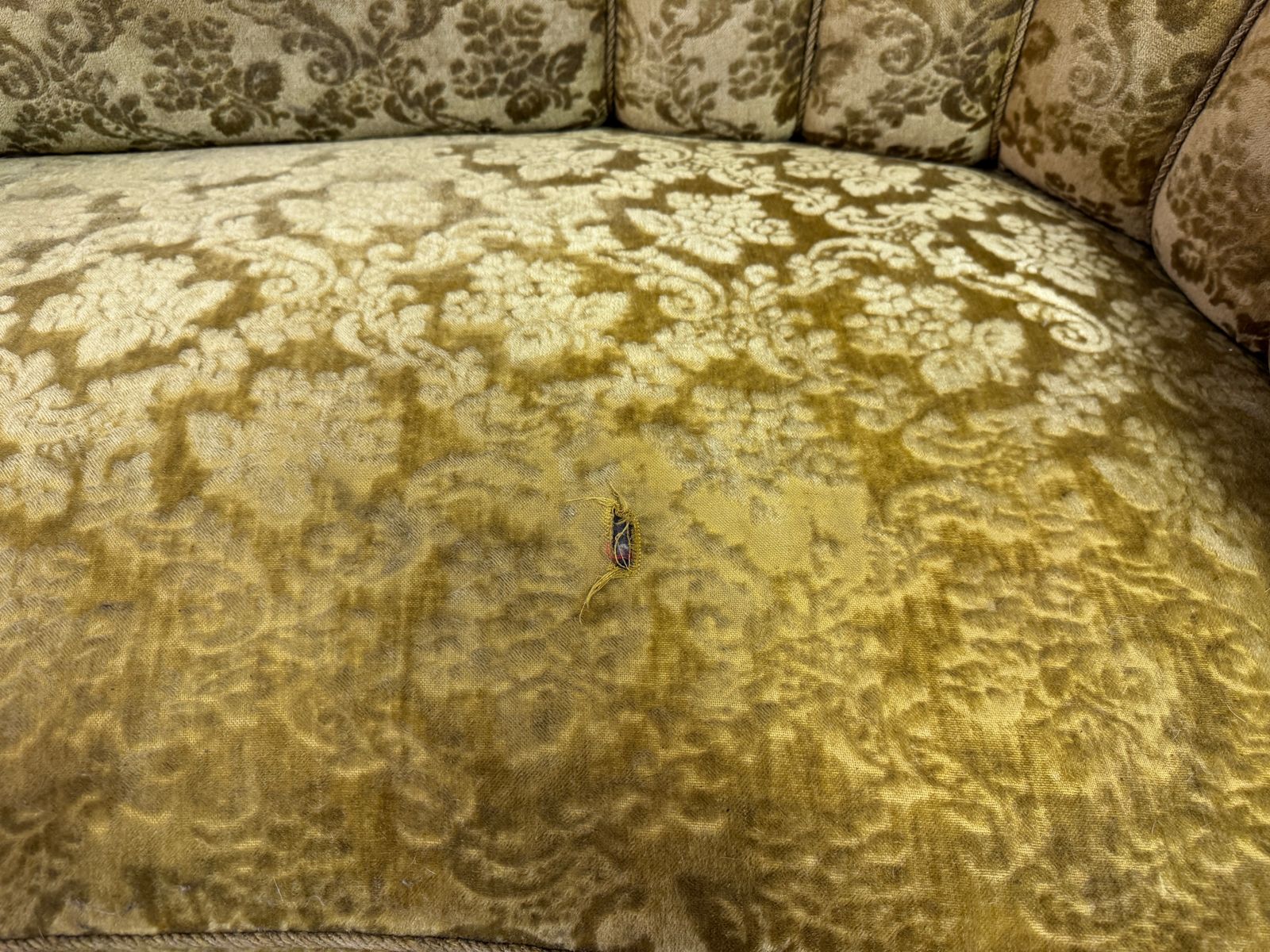1930s Danish Curved Banana Sofa photo 1195.0