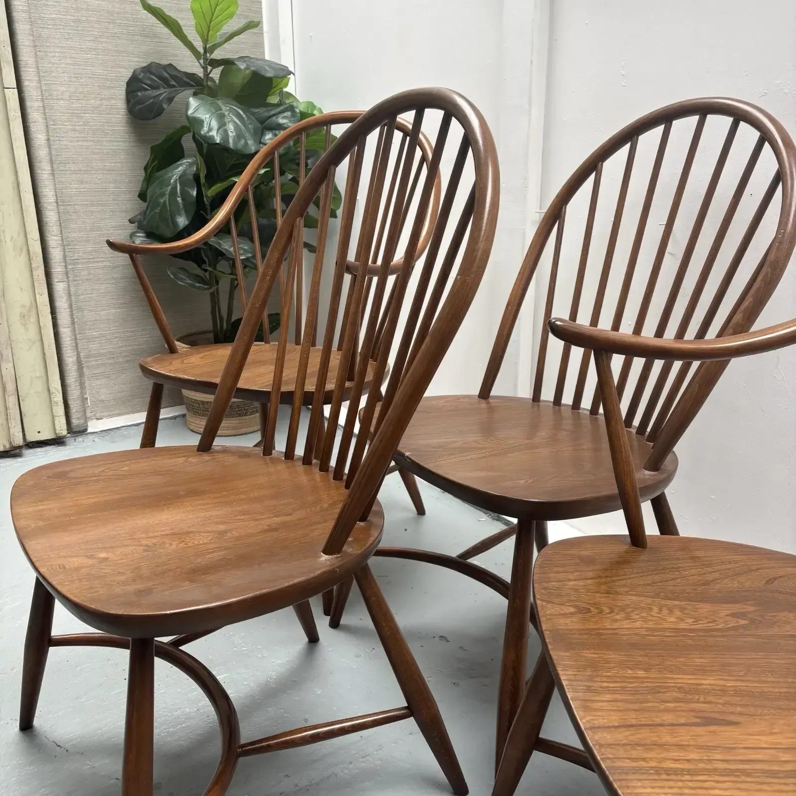 photo furniture 4 Ercol Dining Chairs Cryoline Stretcher Model 909 2 Rare Carvers Golden Dawn