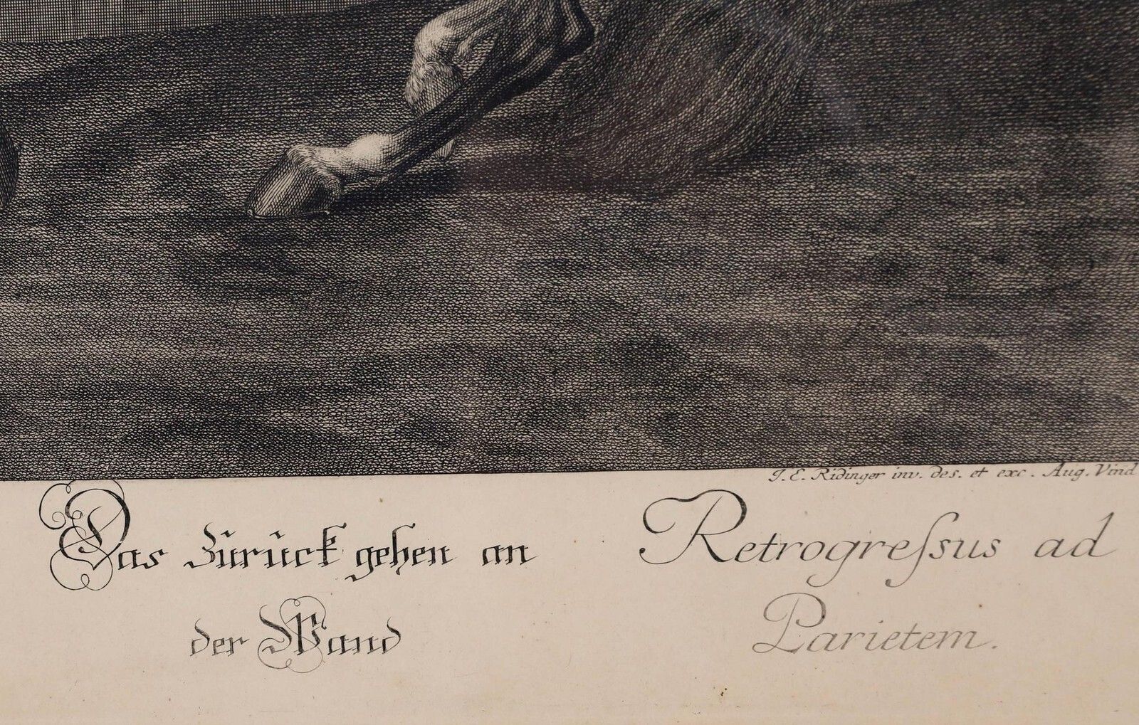 Johann Elias Ridinger (1698 1767)   18th Century Engraving, Retreat To The Wall photo buy