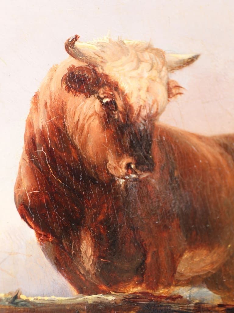 Henry Park (1816–1871): "Two Bulls In A Field," Victorian Oil On Canvas, Dated 1857 photo for sale