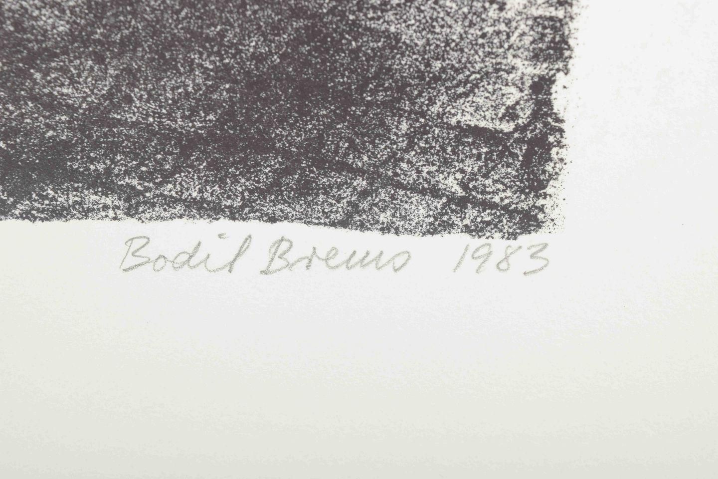 Bodil Brems, Danish Visual Artist. Portrait Of Woman. Lithograph On Paper, 1983 photo 179.0