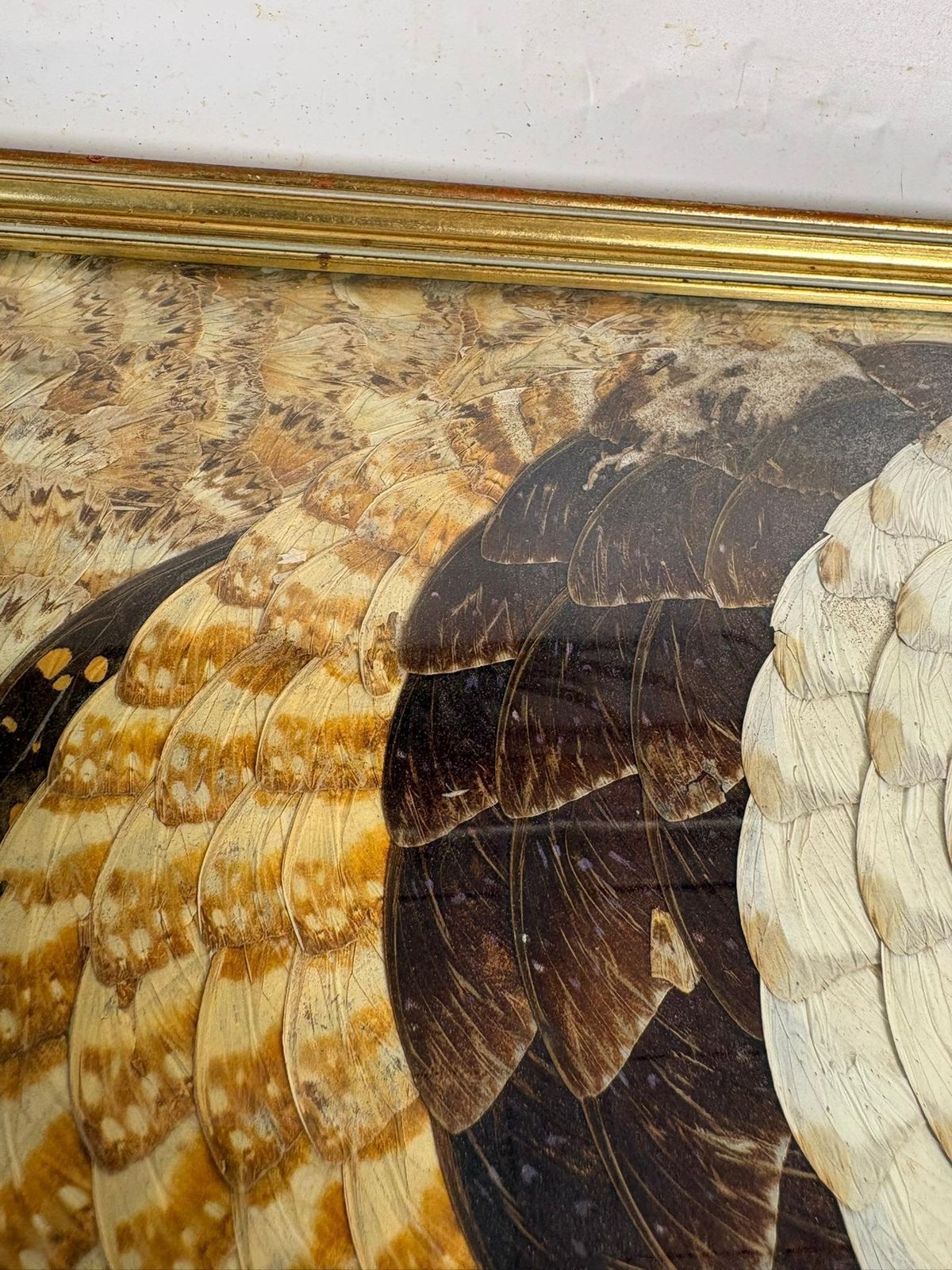 photo furniture Painting In The Shape Of Butterfly Wings, Brazil, 1970