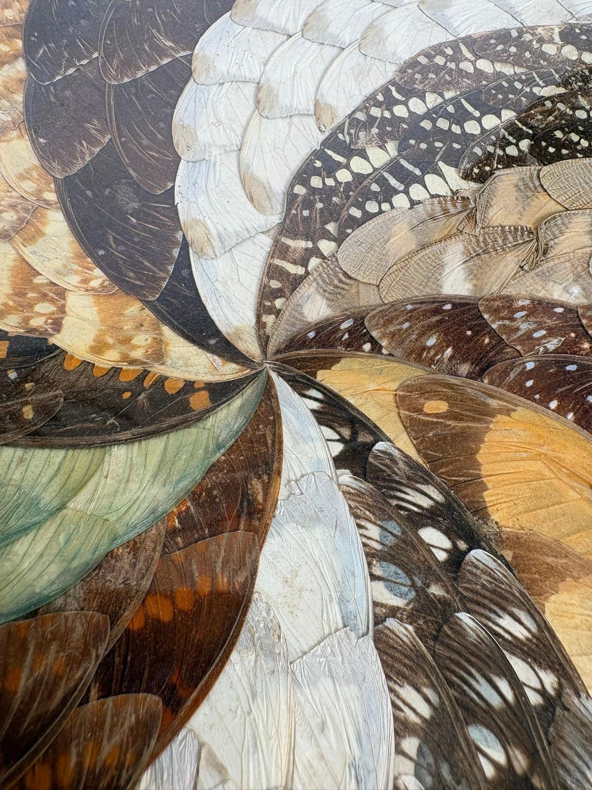 photo vinterior Painting In The Shape Of Butterfly Wings, Brazil, 1970