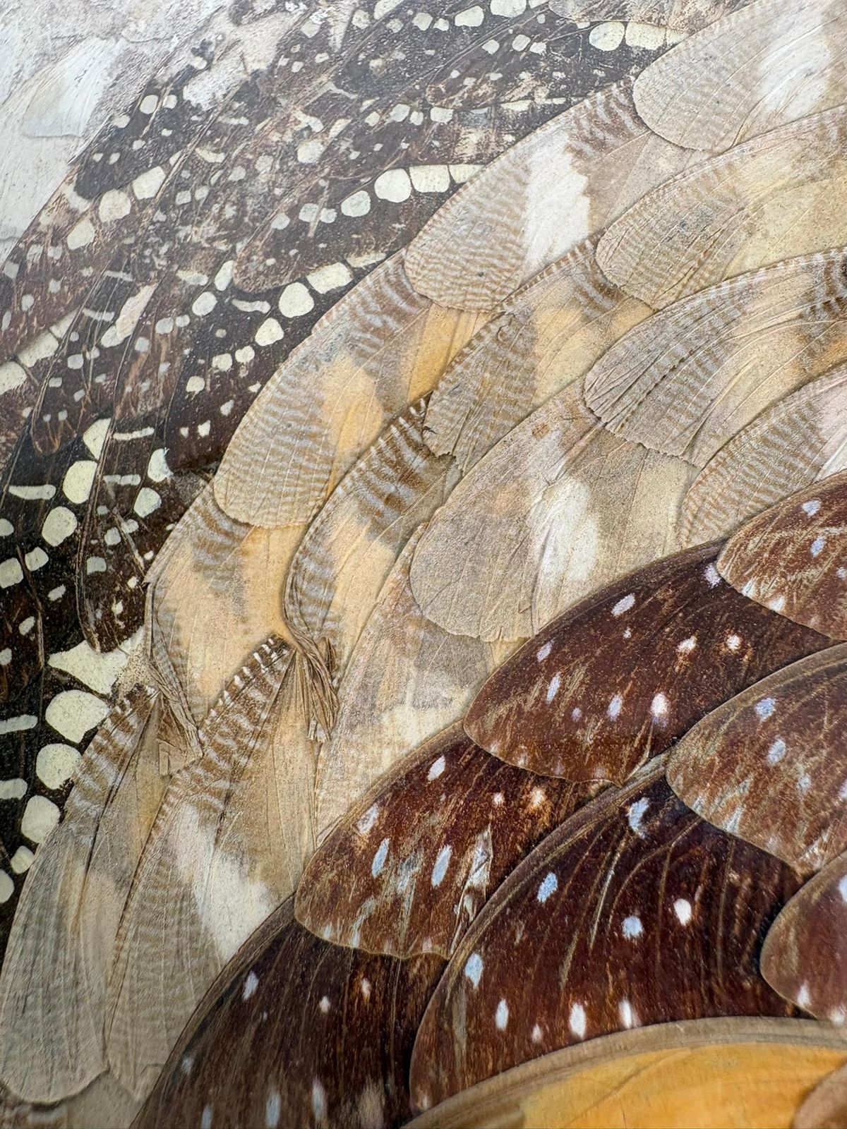 photo vintage Painting In The Shape Of Butterfly Wings, Brazil, 1970