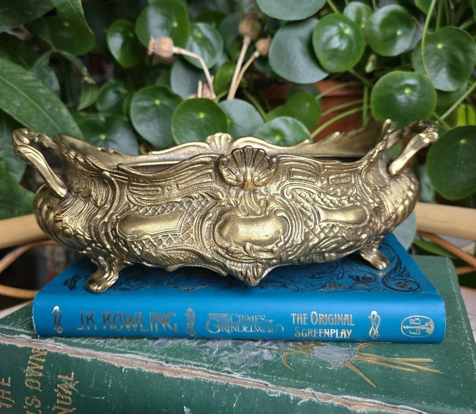 Antique Brass Jardiniere Planter Vintage Flower Display French Interior Rococo photo furniture