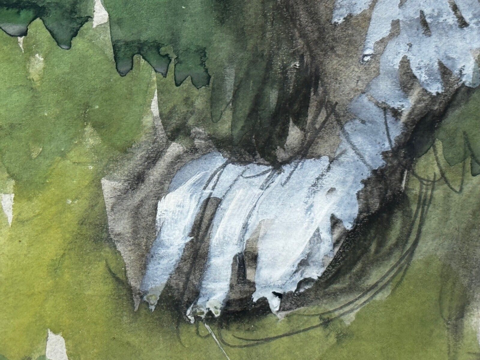 photo buy Late Period Watercolour (1979): White Poodle In Rhododendron Garden – Charles F. Tunnicliffe Ra