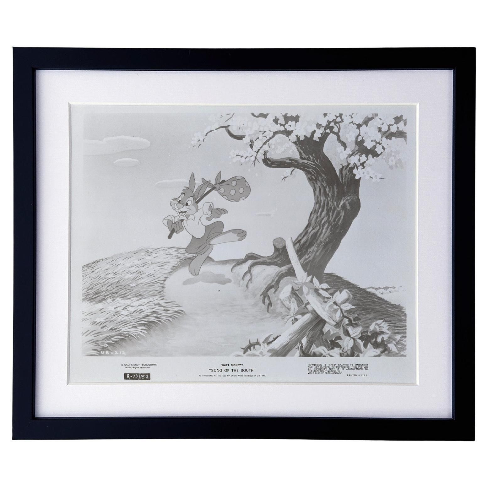 Song Of The South (1946) Press Publicity Still   Framed