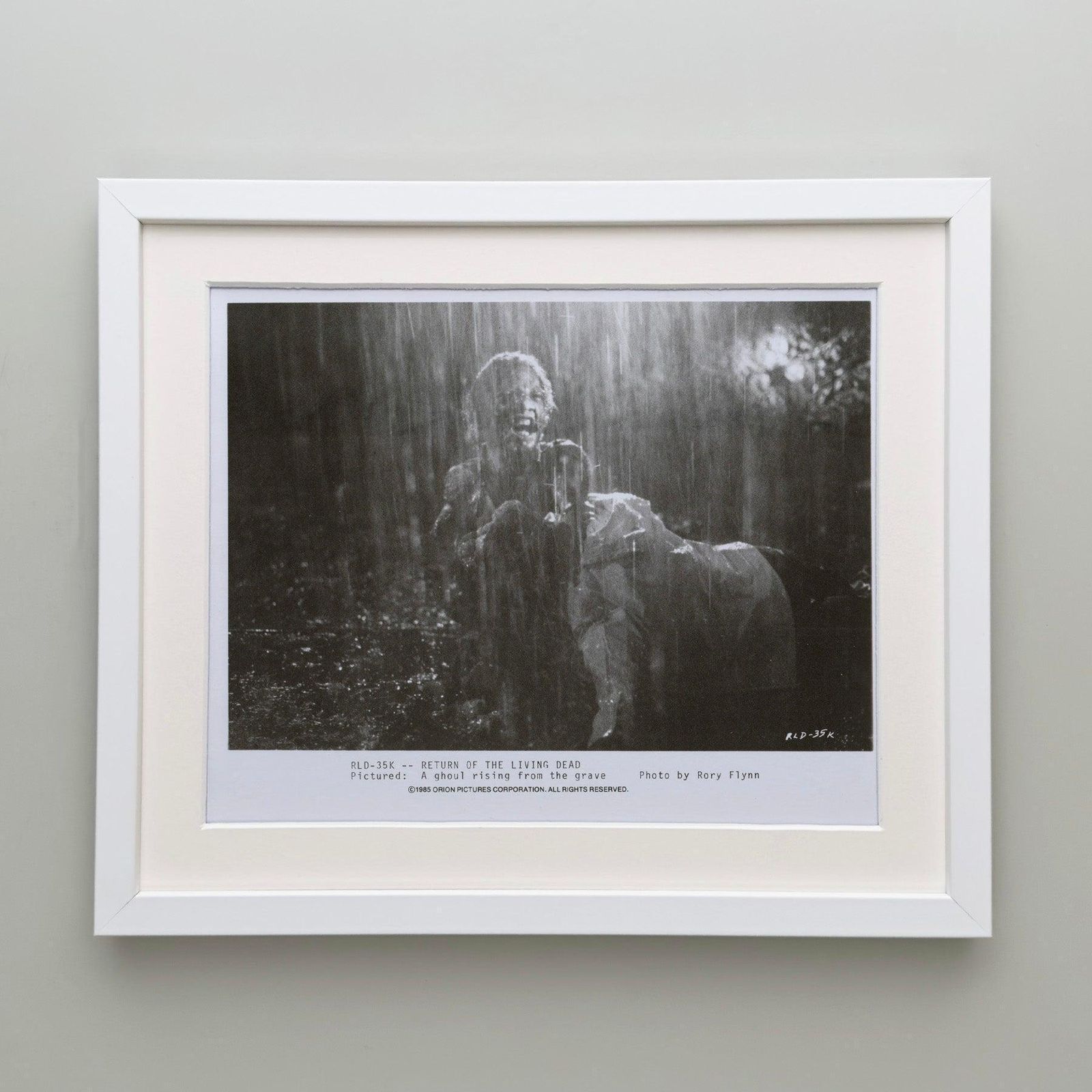 The Return Of The Living Dead (1985) Press Publicity Still   Framed photo Art