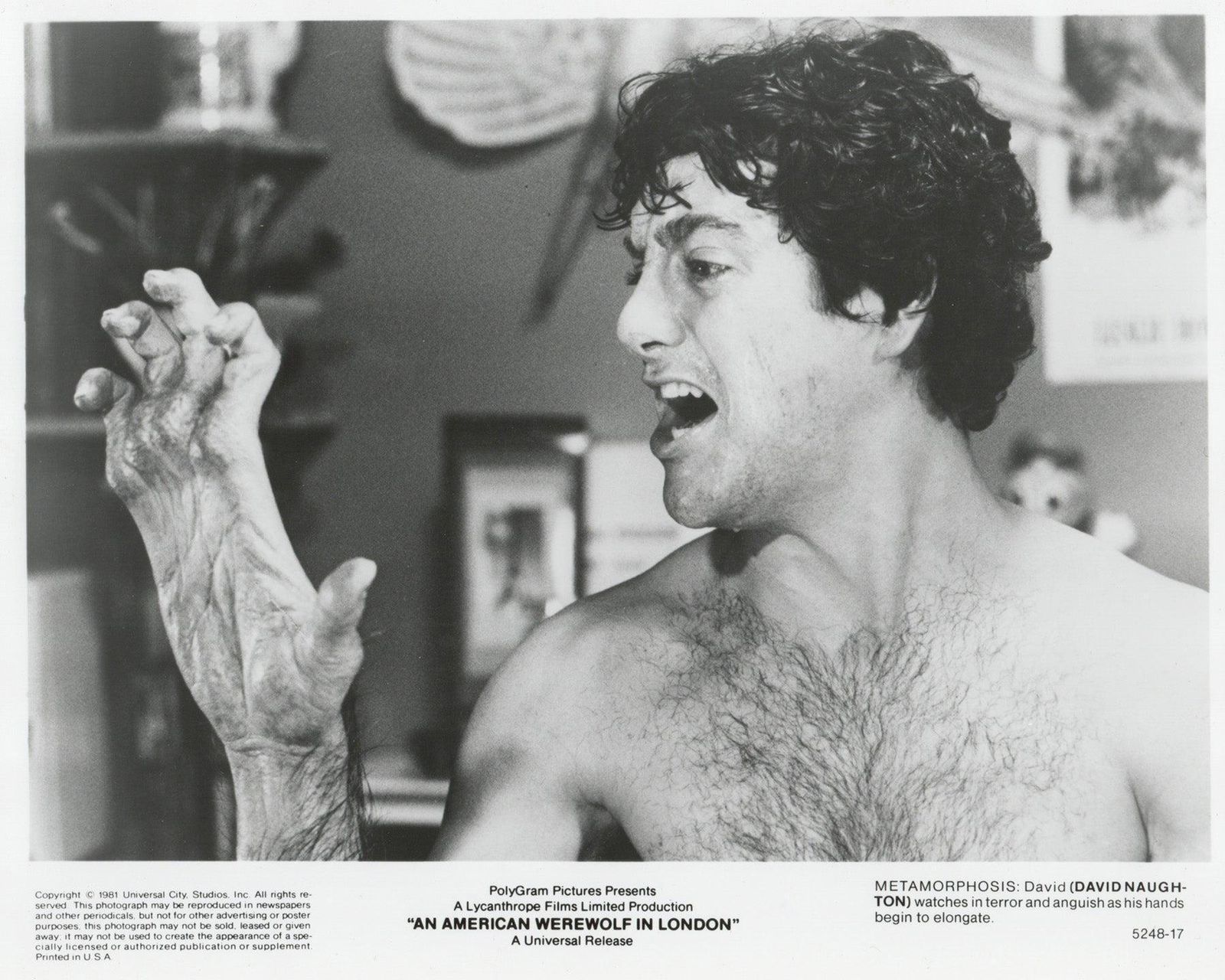 An American Werewolf In London (1981) Press Publicity Still   Framed photo vinterior
