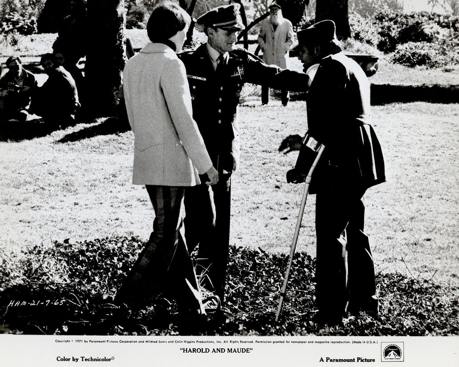 Photo de presse Harold And Maude (1971), encadrée photo vinterior