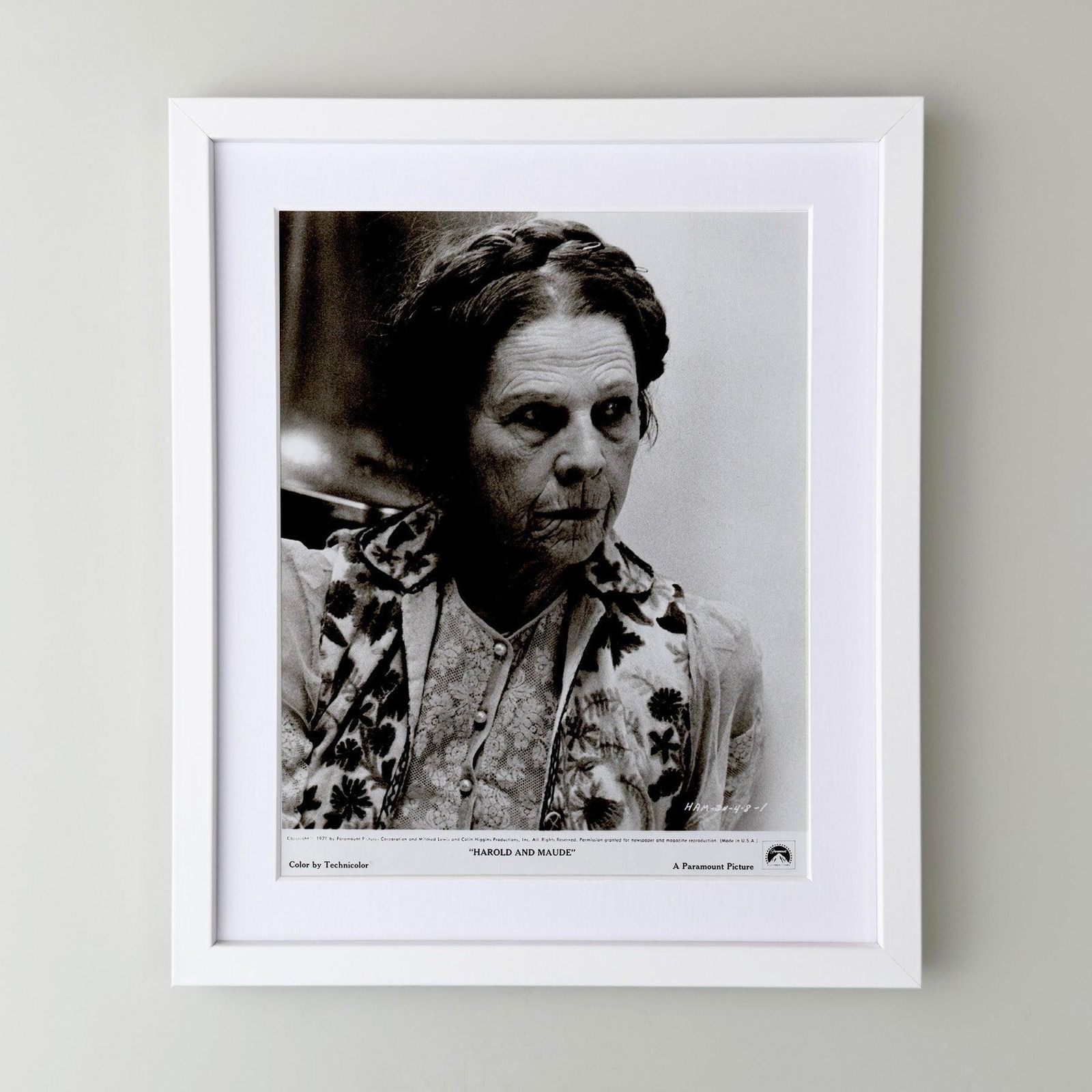 Harold And Maude (1971) Press Publicity Still, ingelijst photo for sale