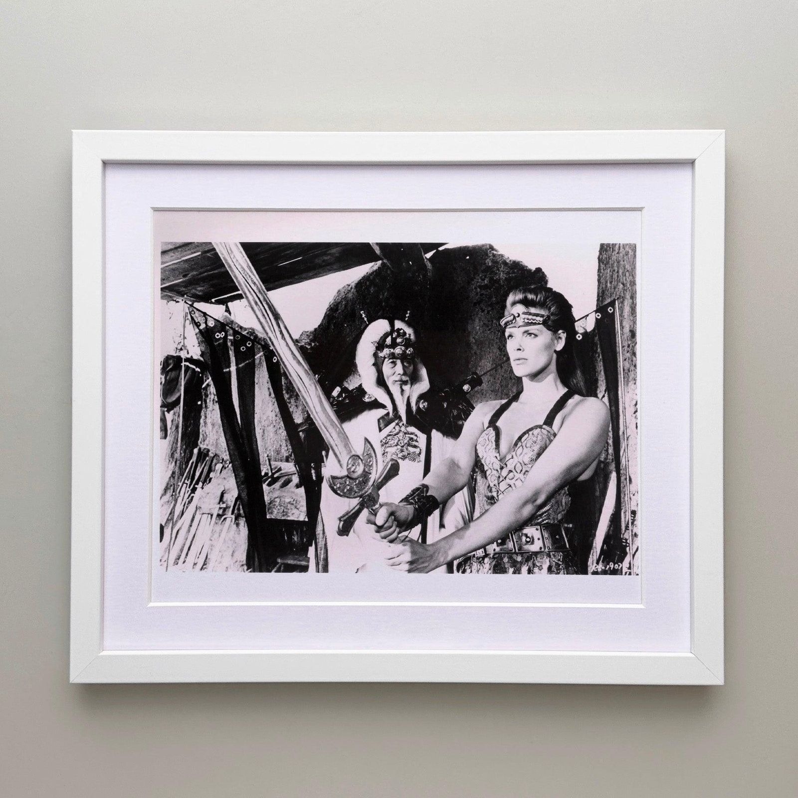 Photo de presse Red Sonja 1985, encadrée photo for sale