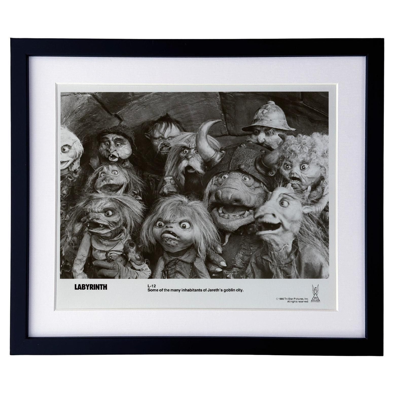 Labyrinth 1986 Publicity Film Movie Press Still Framed