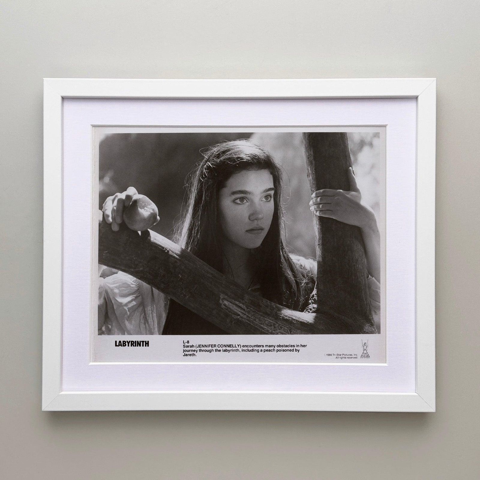 Labyrinth 1986 Publicity Film Movie Press Still Framed photo for sale
