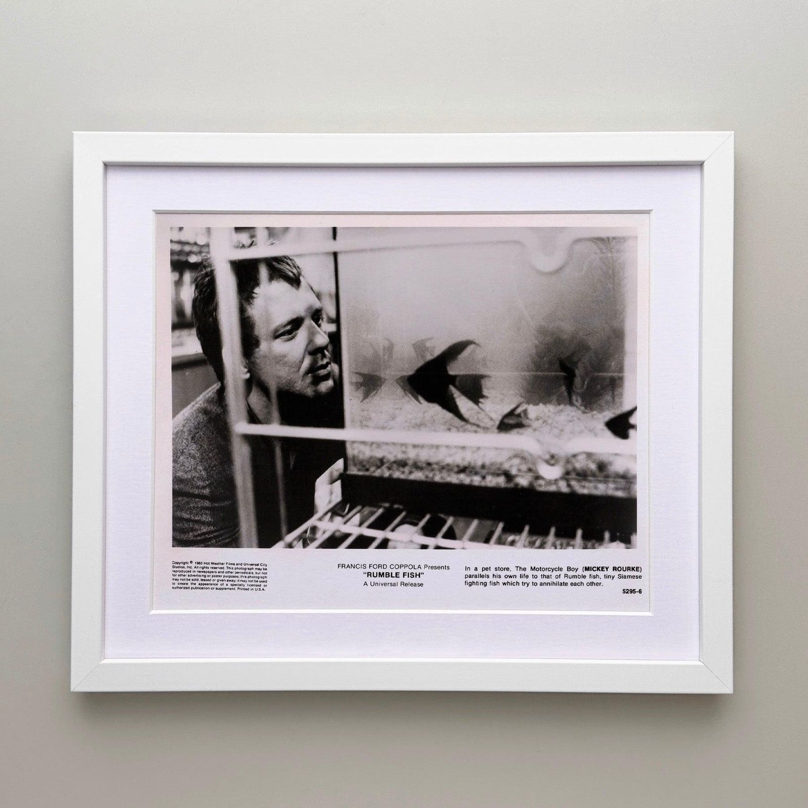 Rumble Fish 1983 Publicity Film Movie Press Still Framed photo for sale