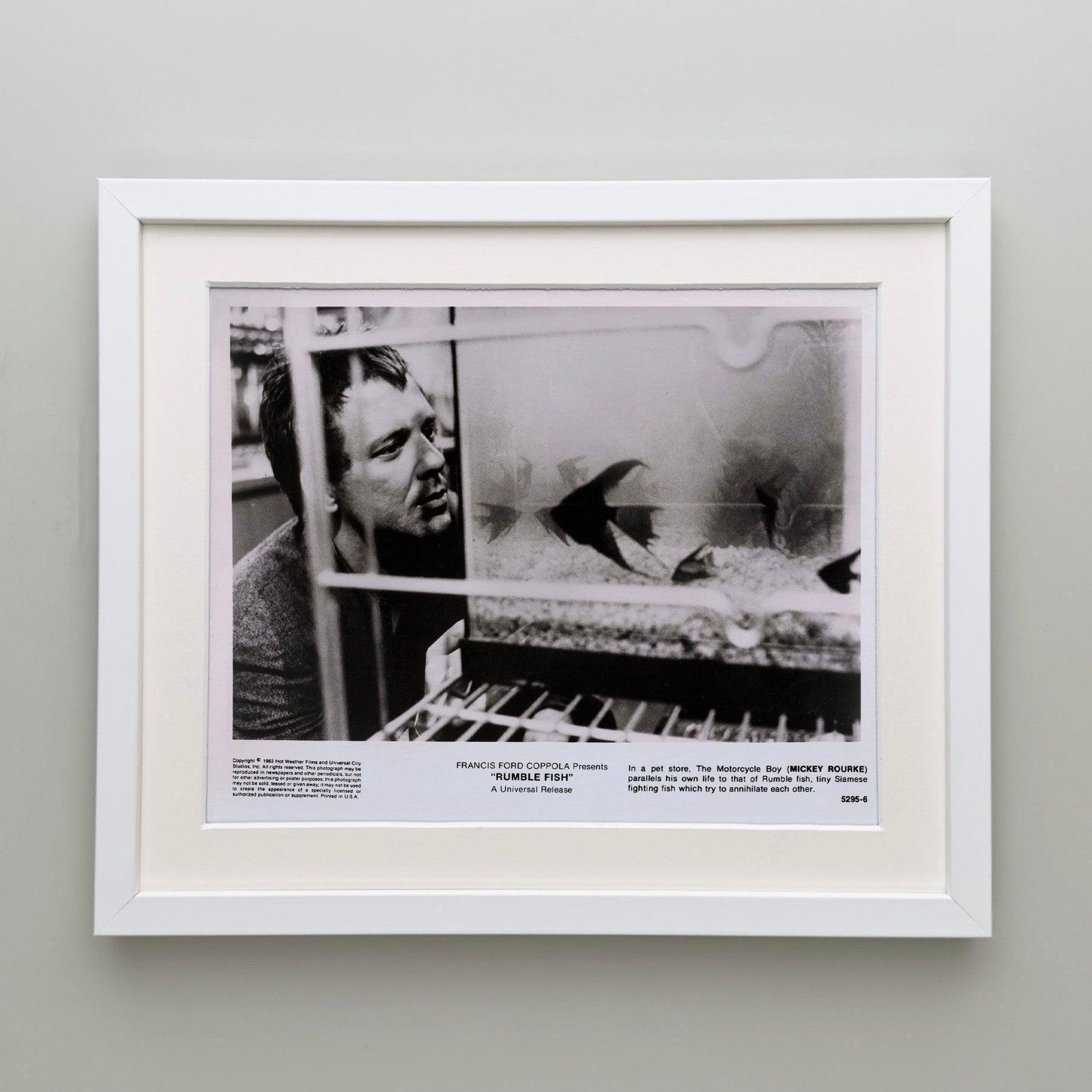 Photo de presse originale encadrée, Rumble Fish, 1983 photo Art