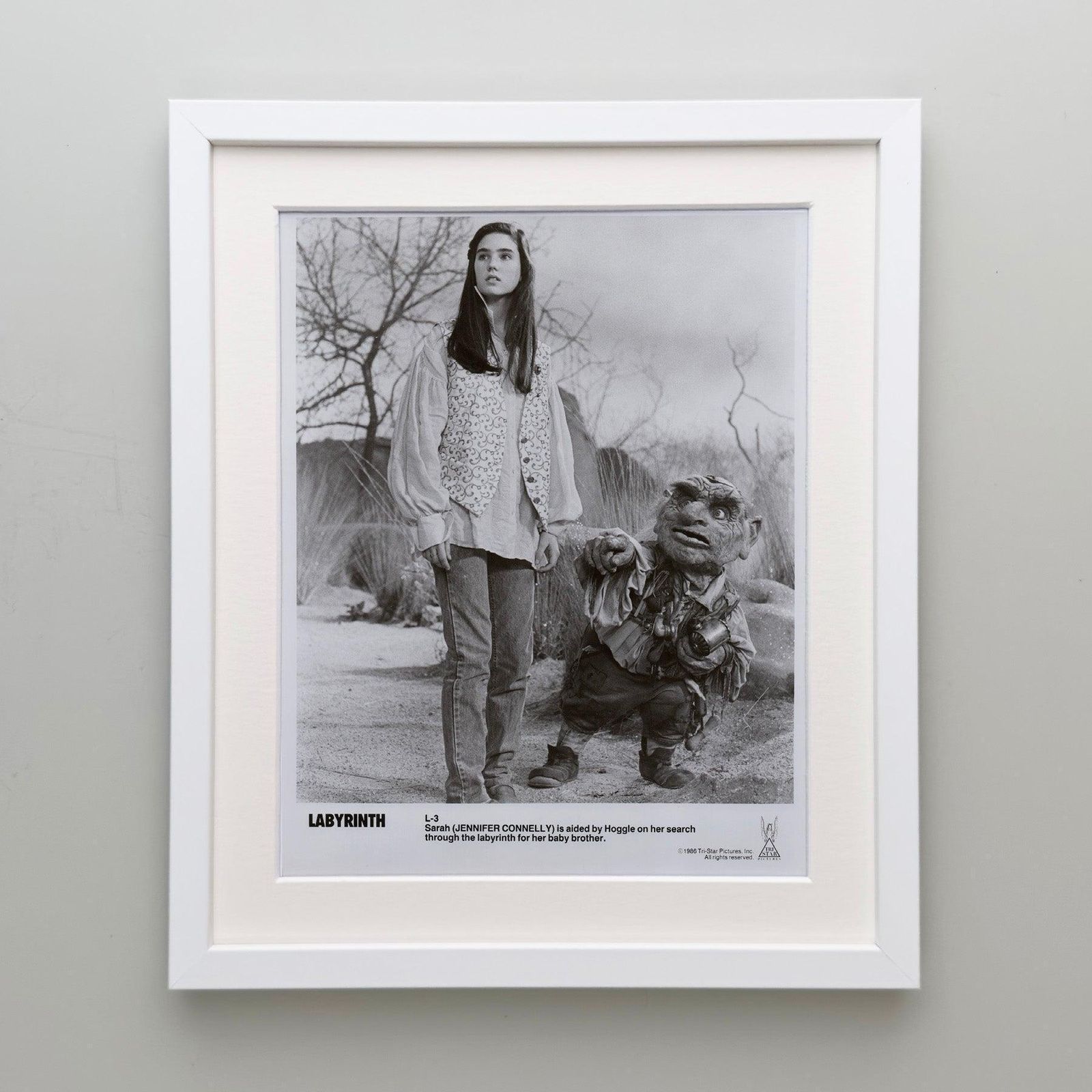 Labyrinth 1986 Publicity Film Movie Press Still Framed photo Art