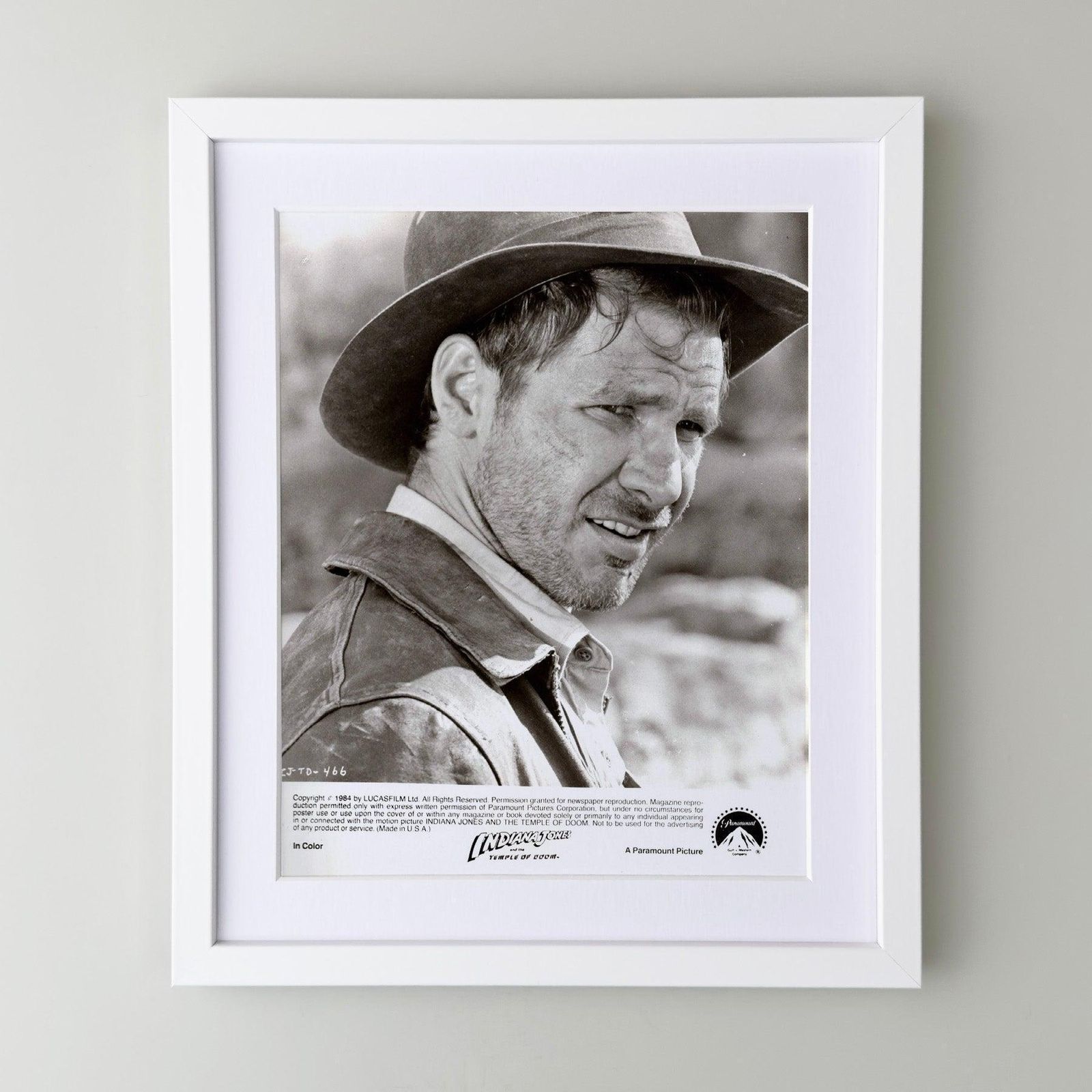 Photographie de presse originale encadrée, Indiana Jones and the Temple of Doom, 1984 photo for sale