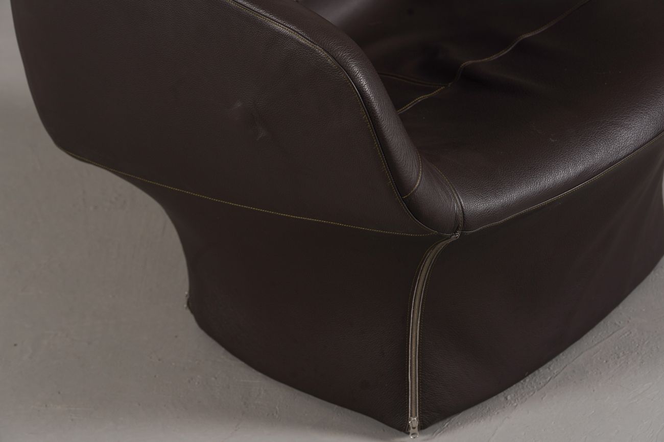 Bloomy Armchair By Patricia Urquiola photo for sale