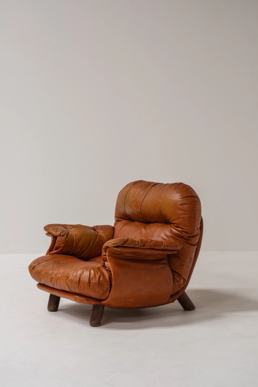 Lounge Chair By E. Cobianchi For Insa Italy 1970