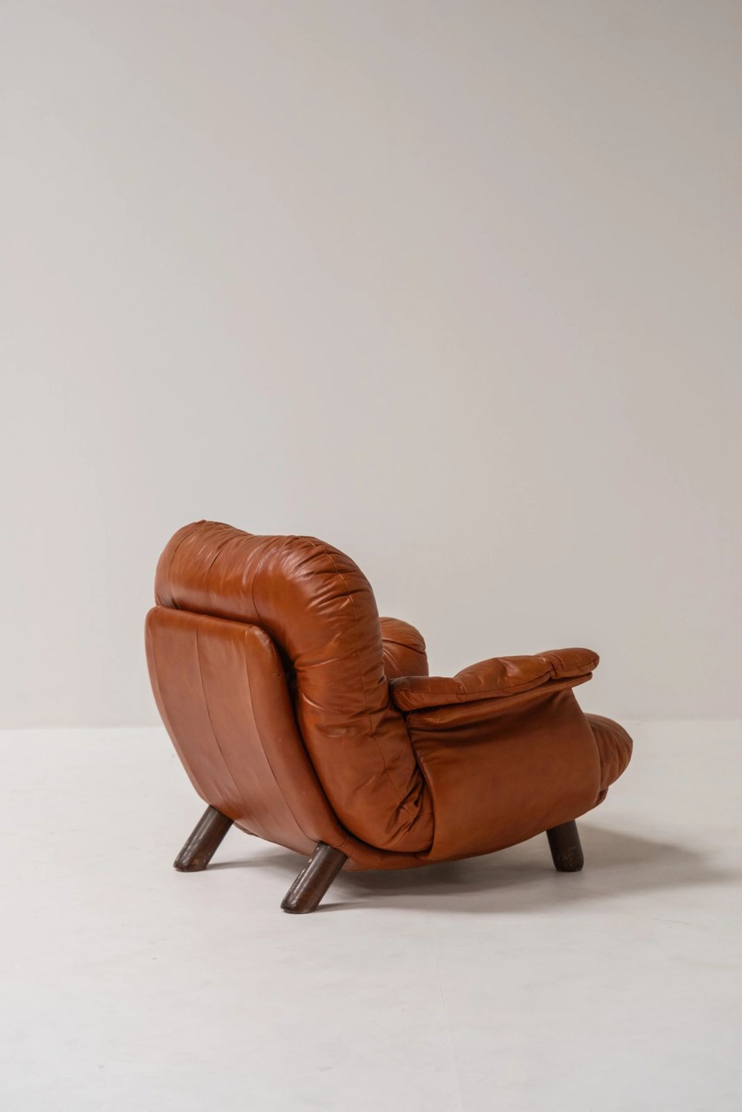 Lounge Chair By E. Cobianchi For Insa Italy 1970 photo furniture